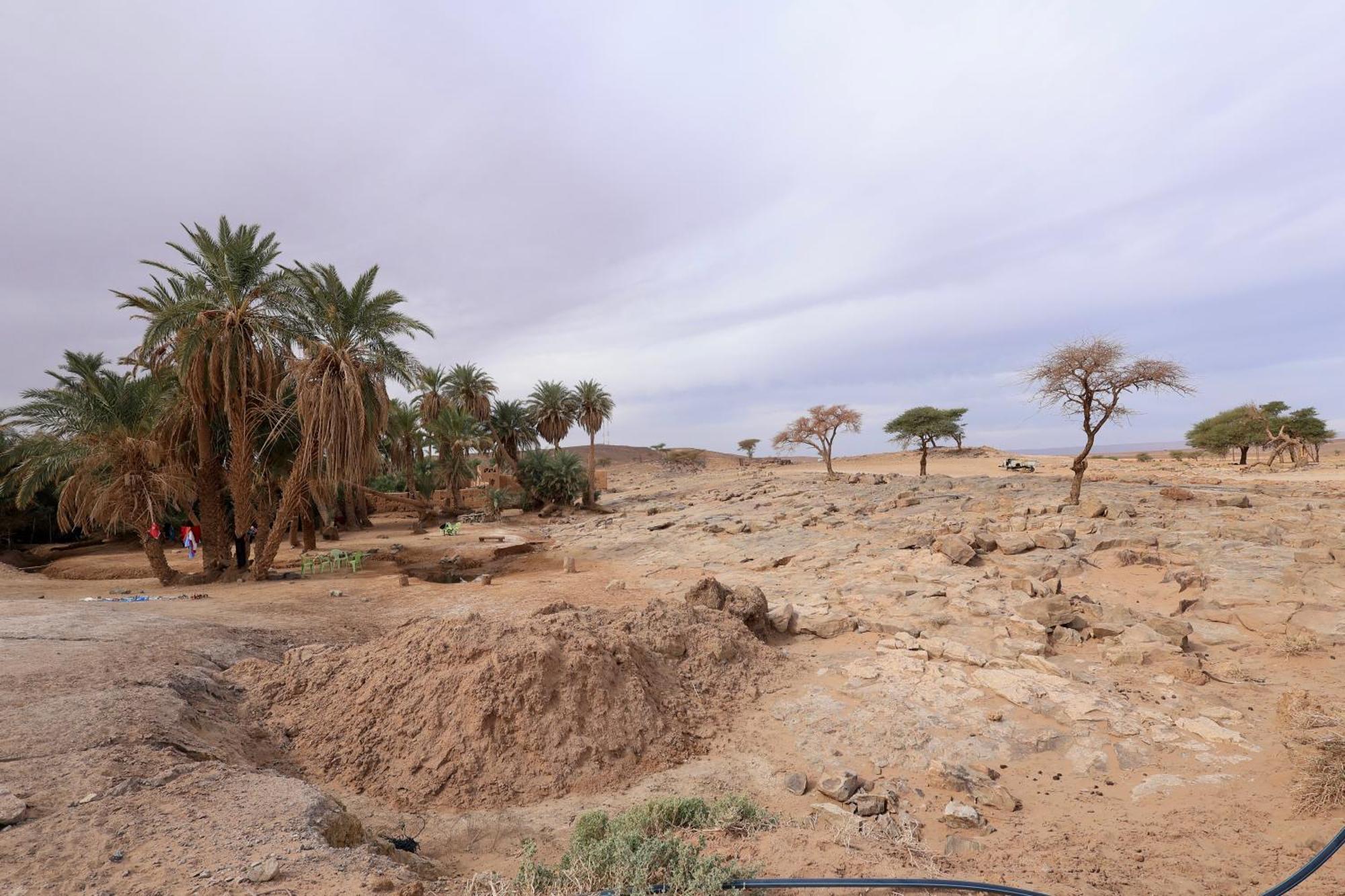 Mhamid El Ghizlane Essence Bed and Breakfast M'Hamid El Ghizlane Exterior foto